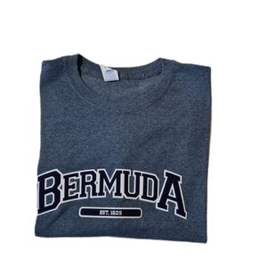 Gildan Heavy cotton T-shirt